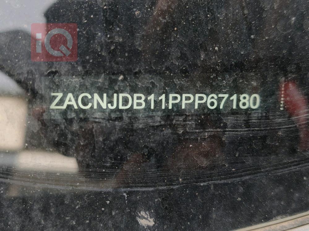 جيب رينيجيد